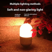 LED Light For Camping By Muiser
